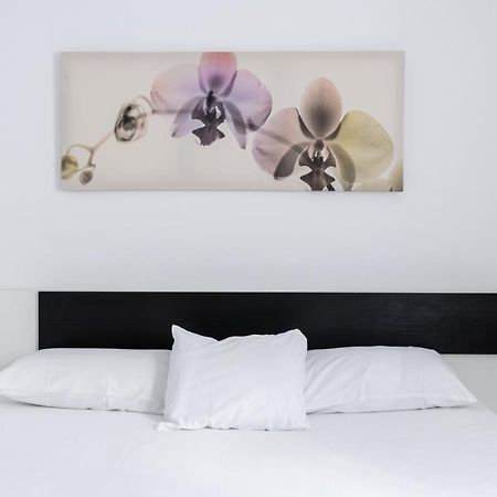 Holi-Rent Procurador Lägenhet Sevilla Exteriör bild